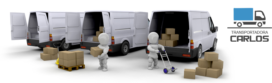 Transportes de carga de grande porte